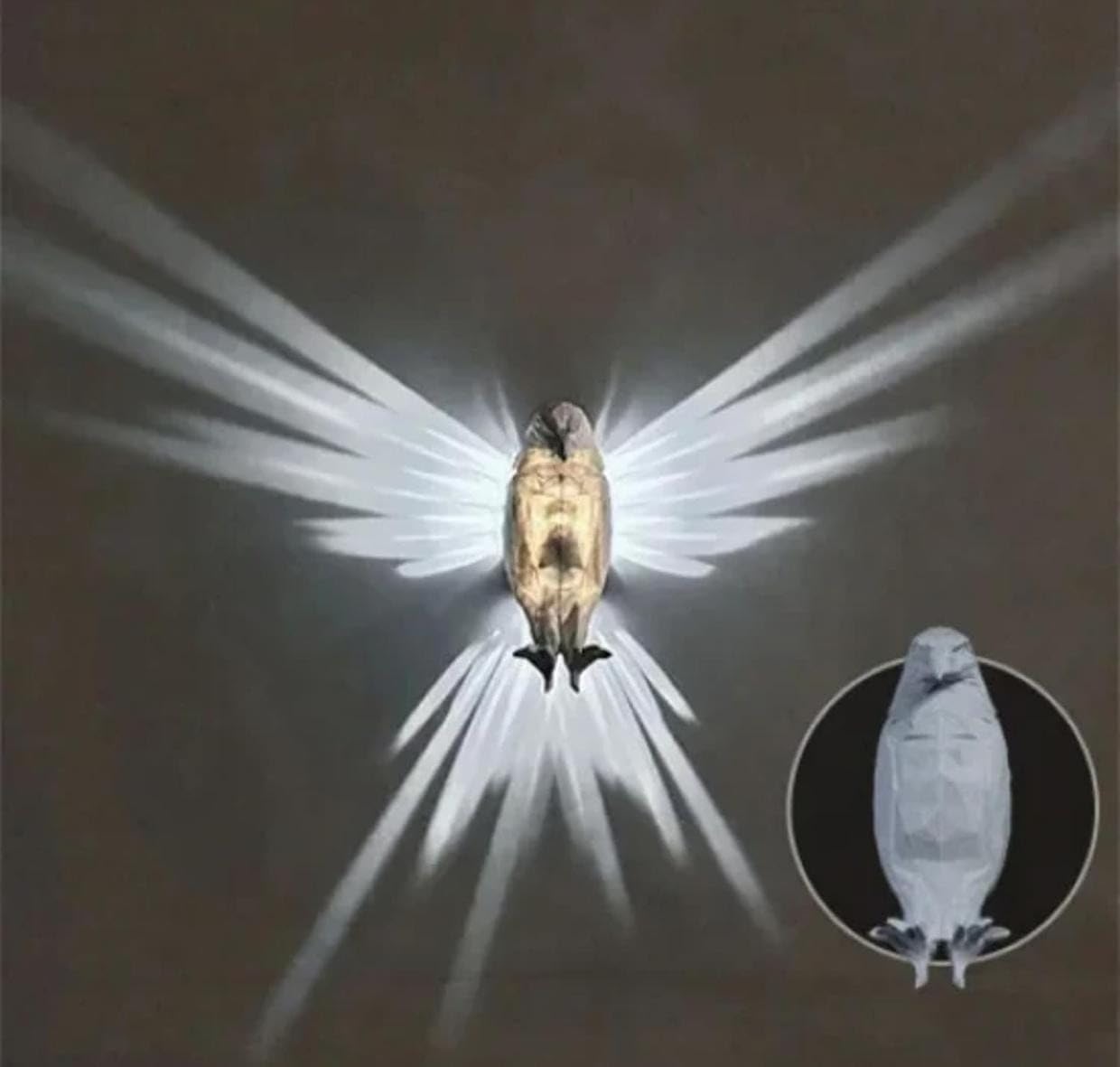 TAYCORE LIVING 3D Eagle Wall Light